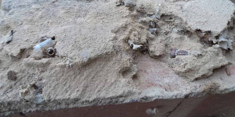 Damage caused by mortar bees